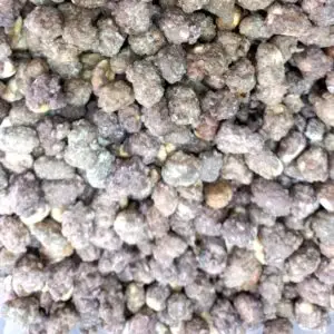Maní confitado sabor chocolate