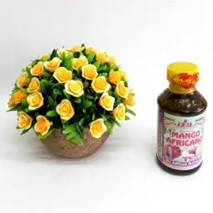Mango Africano