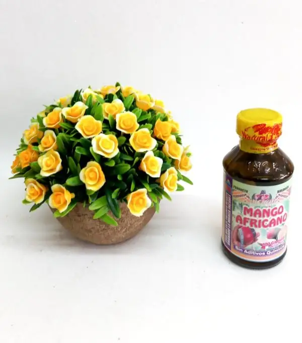 Mango Africano