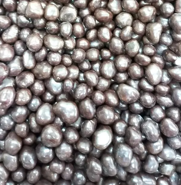 Pasas bañadas en chocolate