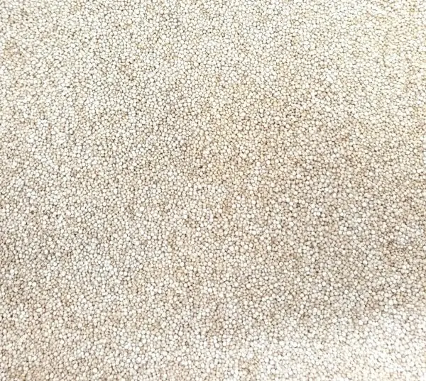 Quinoa