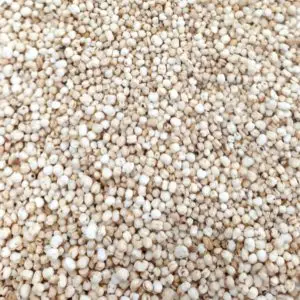 Quinoa pop ó pipoca