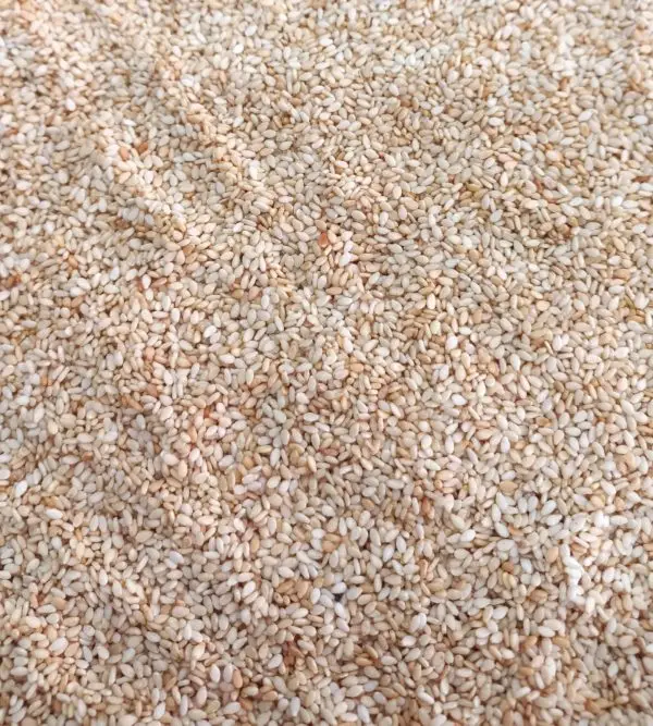Semilla de sésamo tostado
