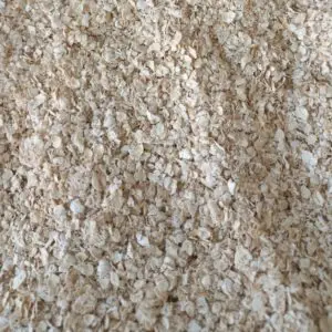 Avena instantanea