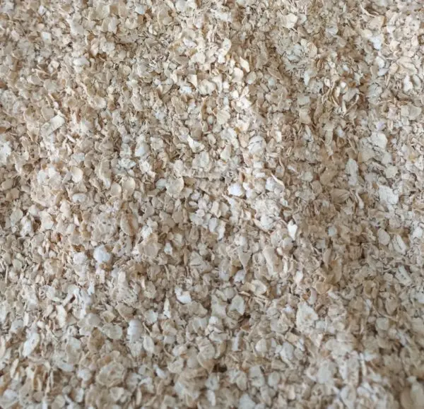 Avena instantanea
